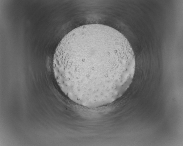 X0000060260038200511241439