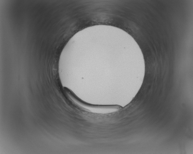 X0000060260040200511241439