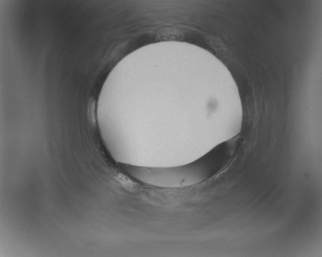 X0000060260041200511241439