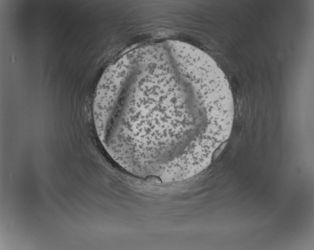 X0000060260043200511241439