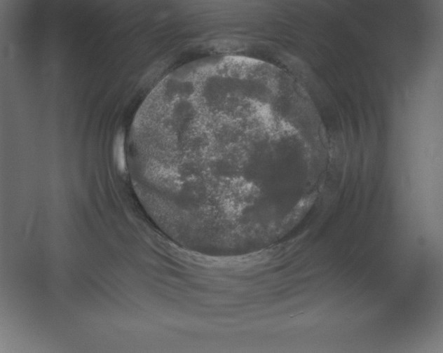 X0000060260046200511241439