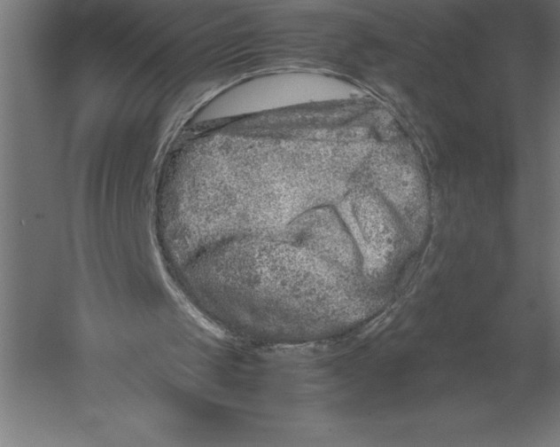 X0000060260049200511241438