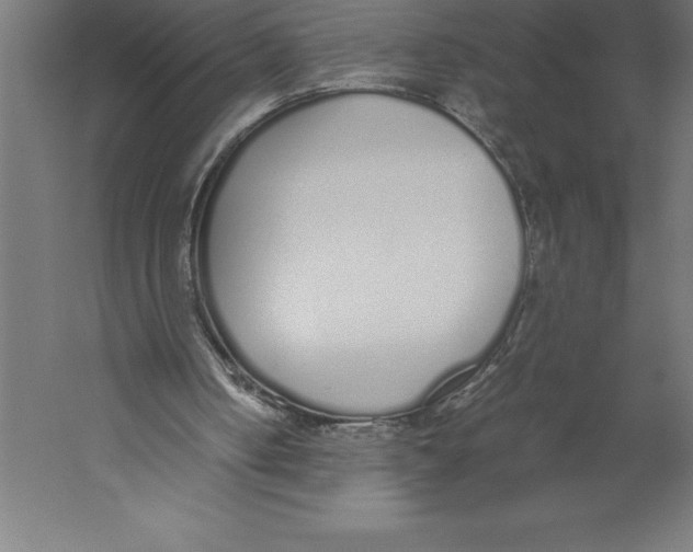 X0000060260050200511241438