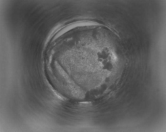 X0000060260053200511241438