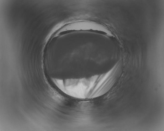 X0000060260054200511241438