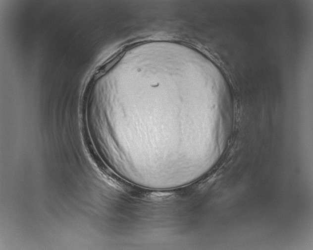 X0000060260055200511241438