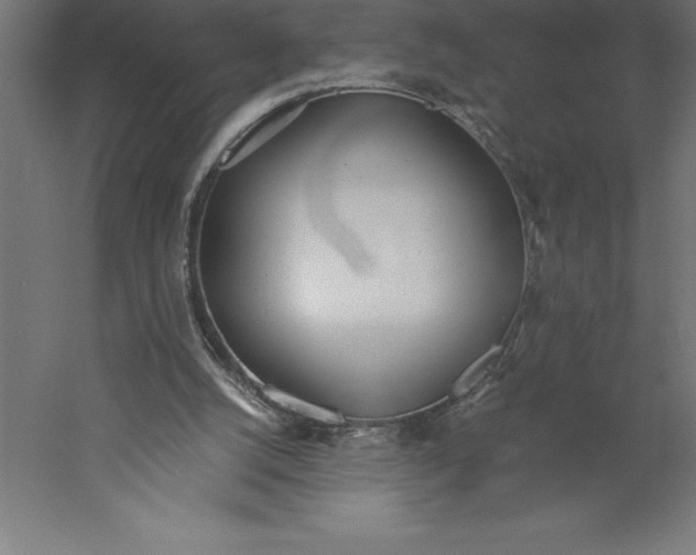 X0000060260056200511241438