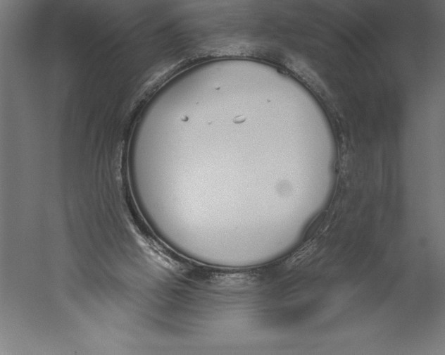 X0000060260058200511241438