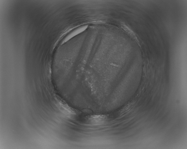 X0000060260059200511241438