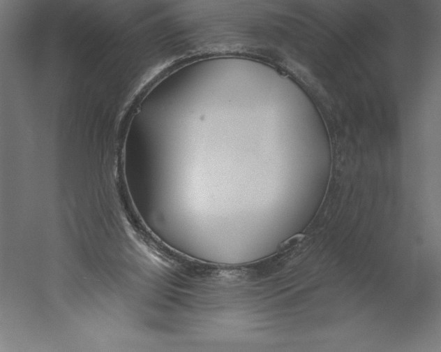 X0000060260060200511241438