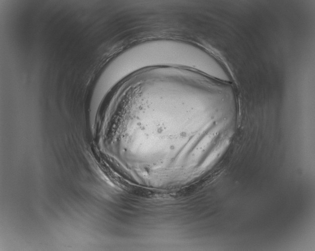 X0000060260061200511241438