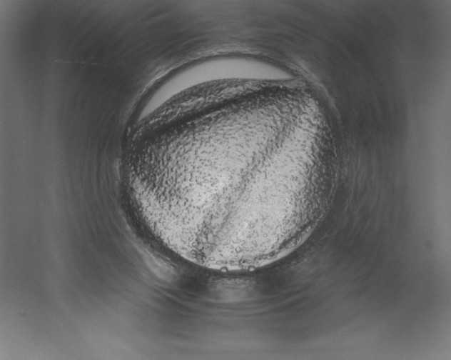 X0000060260063200511241438