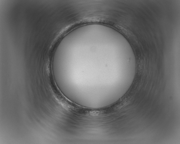 X0000060260064200511241438