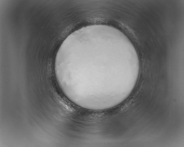 X0000060260065200511241438