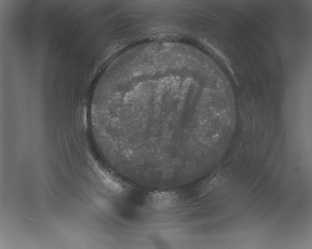 X0000060260067200511241439