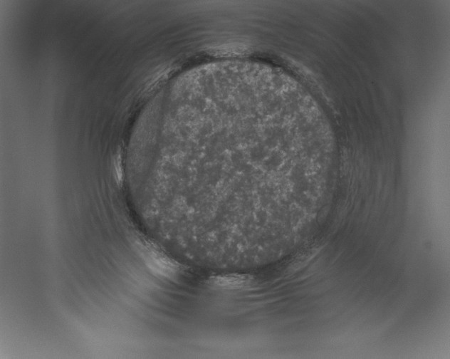 X0000060260069200511241439