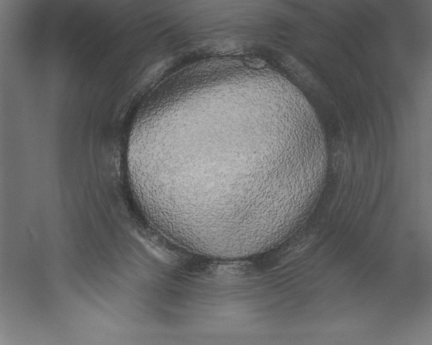 X0000060260072200511241439