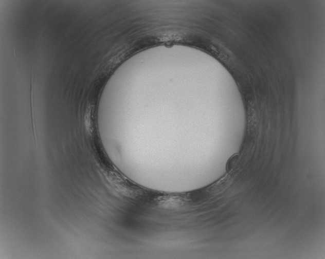 X0000060260074200511241439