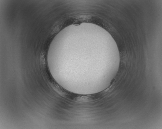 X0000060260086200511241439