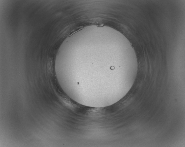 X0000060260092200511241439