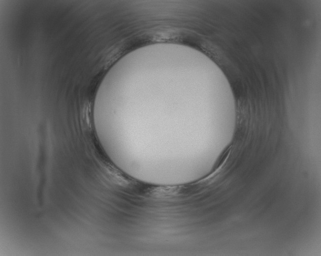 X0000060260094200511241439