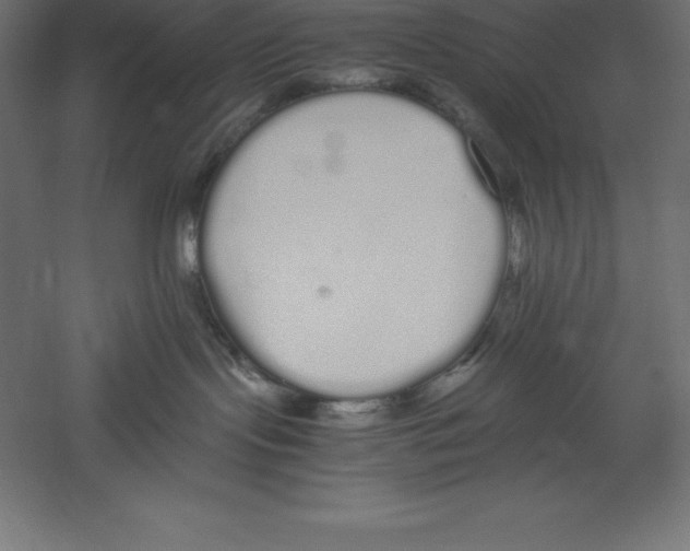 X0000060260095200511241439