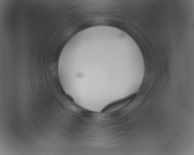 X0000060260096200511241439