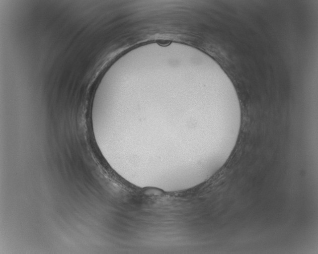 X0000060260098200511241438