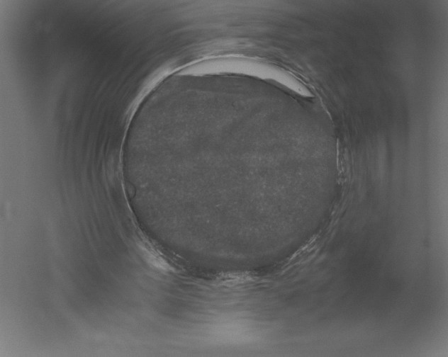 X0000060260099200511241438