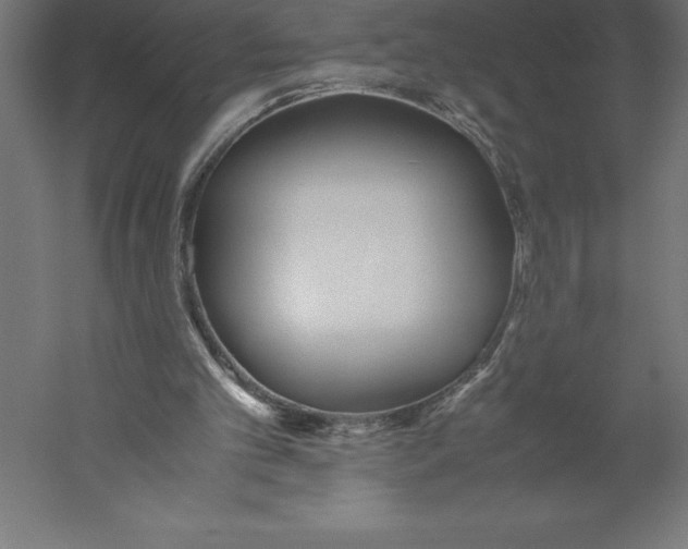 X0000060260101200511241438