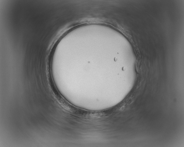 X0000060260103200511241438