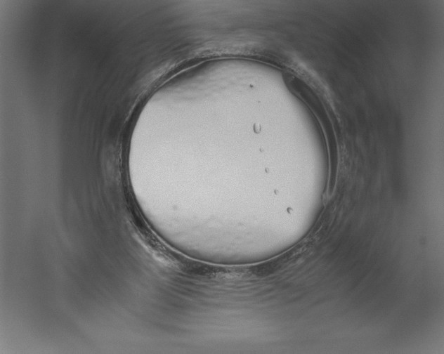 X0000060260107200511241438