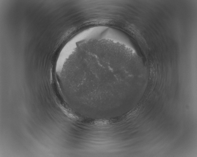 X0000060260110200511241438