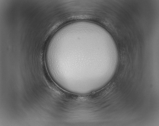 X0000060260111200511241438