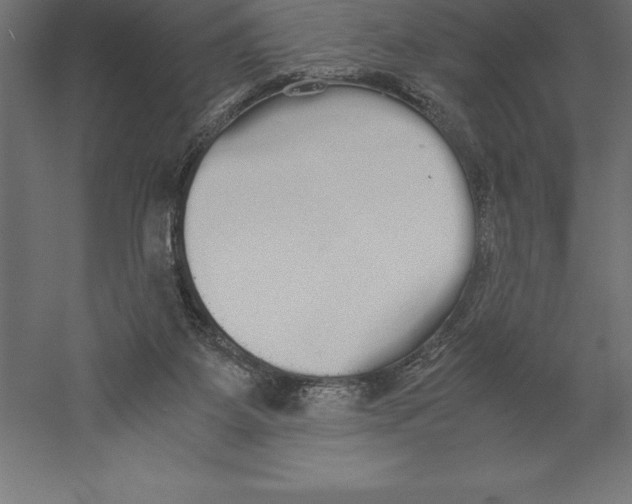 X0000060260115200511241438