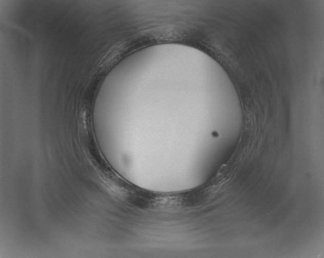 X0000060260117200511241438