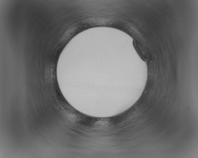 X0000060260119200511241438