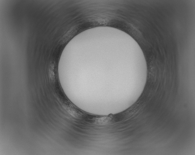 X0000060260122200511241438