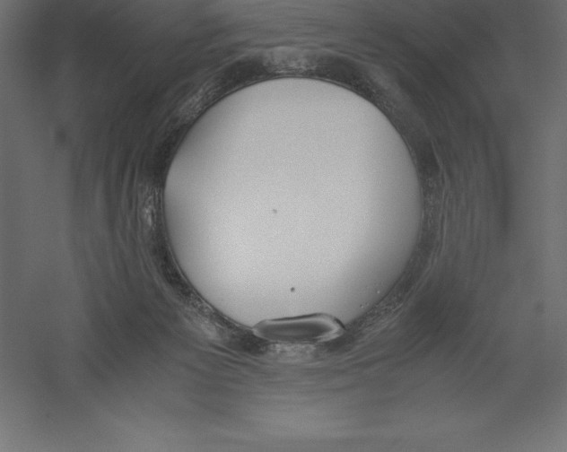 X0000060260125200511241438