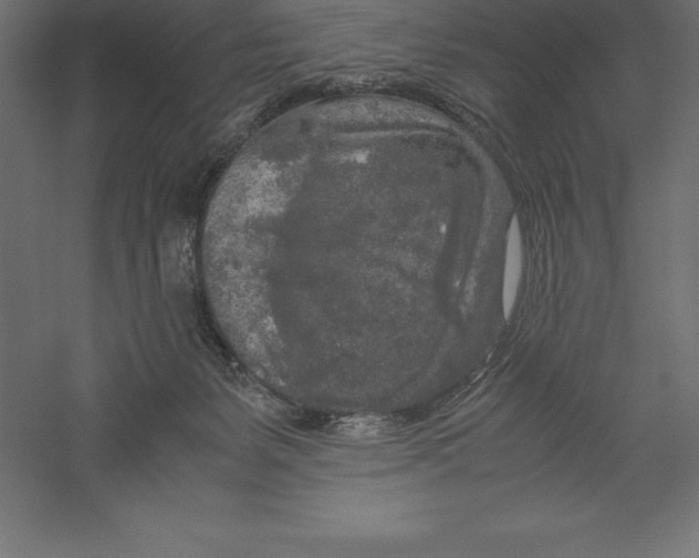 X0000060260127200511241438