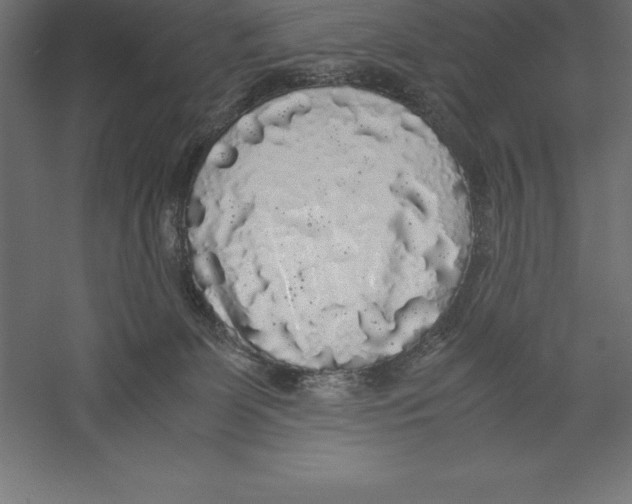 X0000060260131200511241438