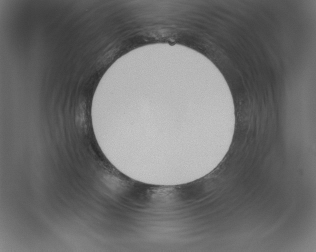 X0000060260132200511241438