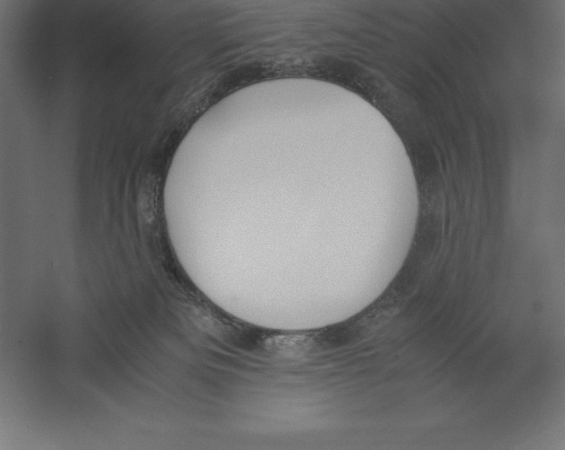 X0000060260133200511241438