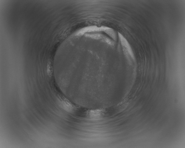 X0000060260134200511241438