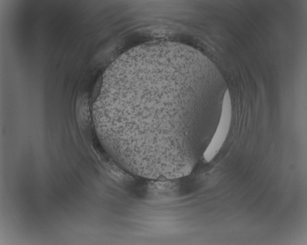 X0000060260137200511241437