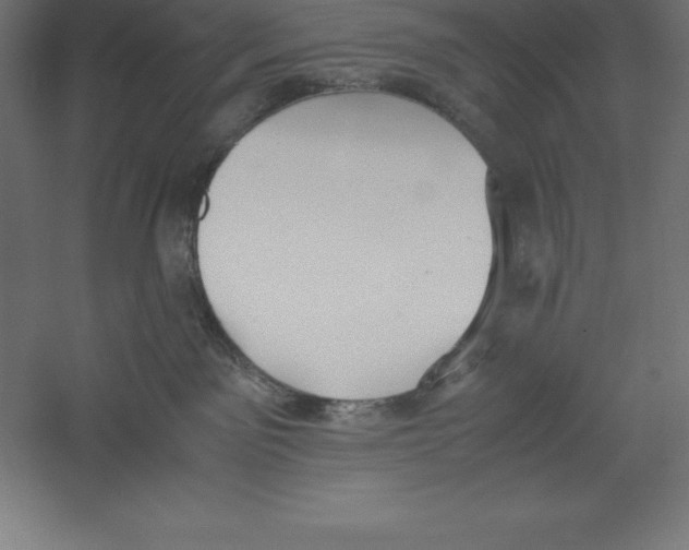 X0000060260141200511241437