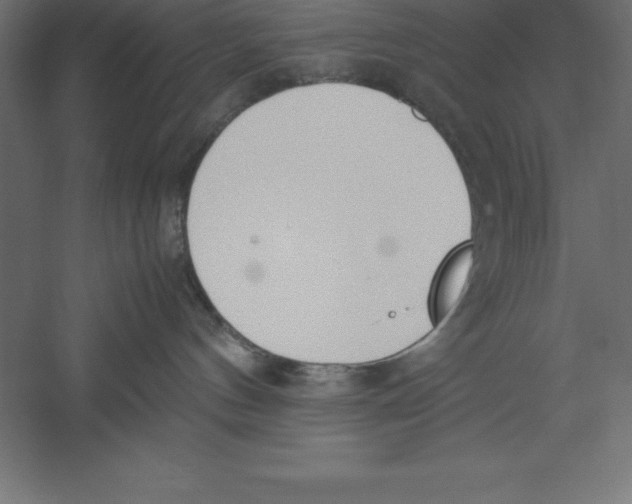 X0000060260144200511241437