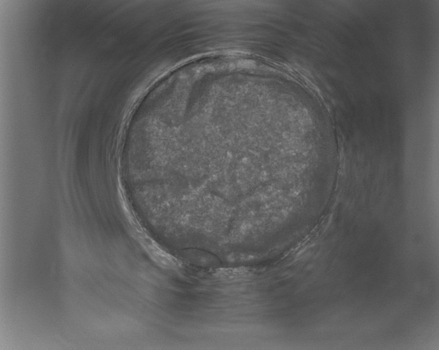 X0000060260145200511241437