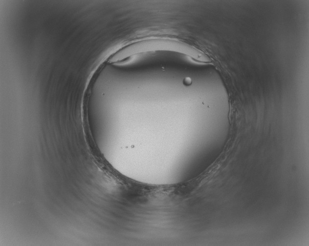 X0000060260148200511241437