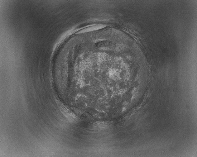 X0000060260149200511241437